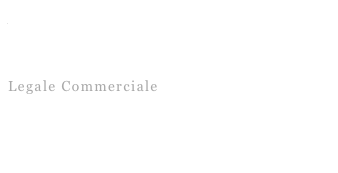Aziendale
Contabile
Giudiziale
Legale Commerciale
Tributaria
Fiscale Internazionale
Outsourcing Operativo